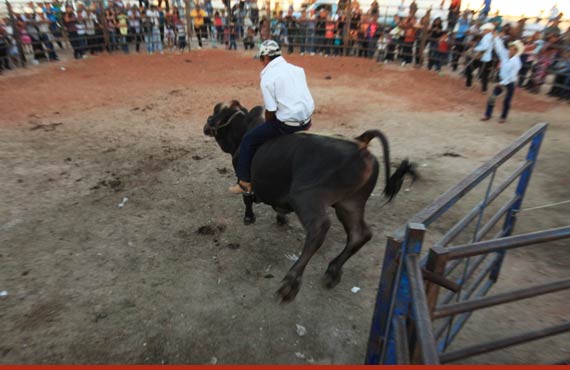 03jaripeo02