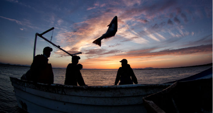 Foto Carlos Aguilera - Sinaloa (2)