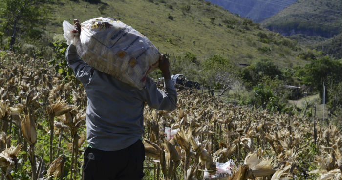 Campesinos. Foto: Cuartoscuro