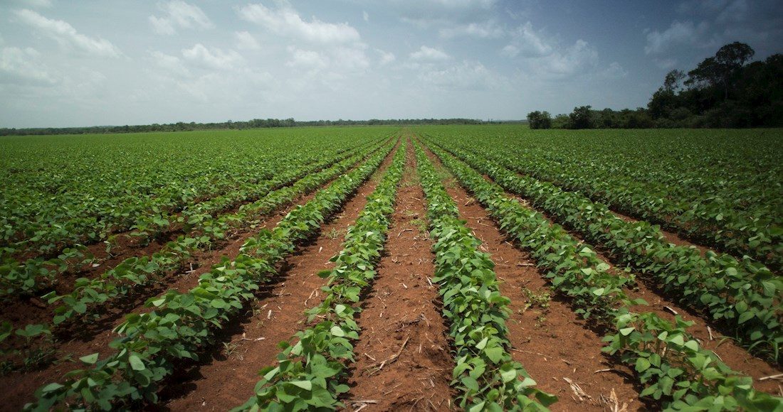 Campo campesinos cuba