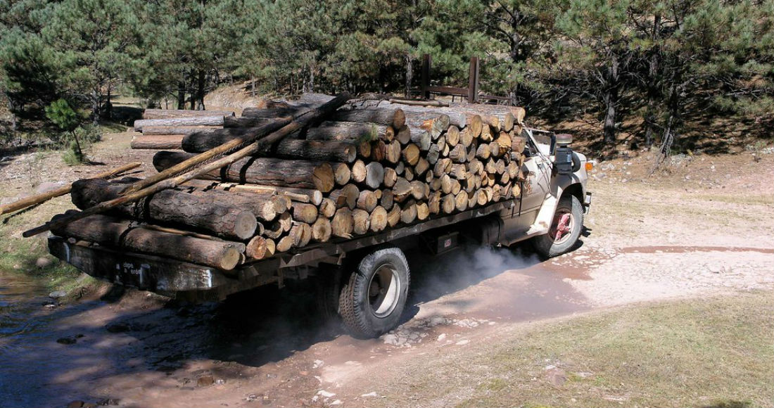 Troncos De Madera En Un Camión De Carga