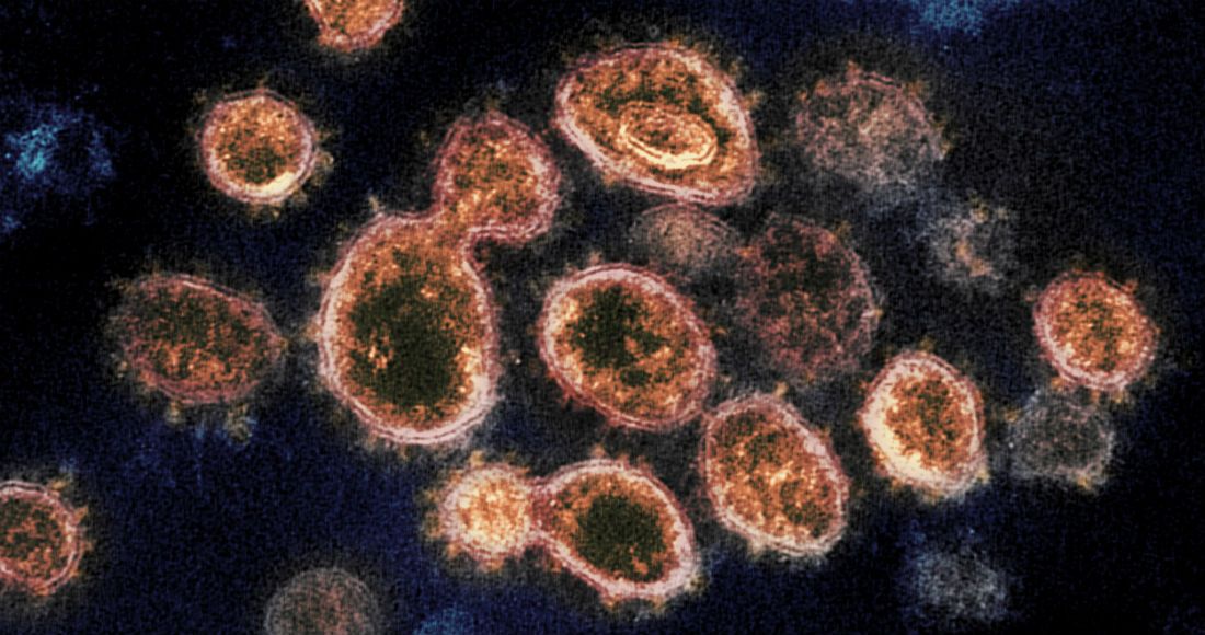 Imagen microscópica de partículas del coronavirus suministrada por el Instituto Nacional de Enfermedades Alérgicas e Infecciosas de EU y los Laboratorios Rocky Mountain.