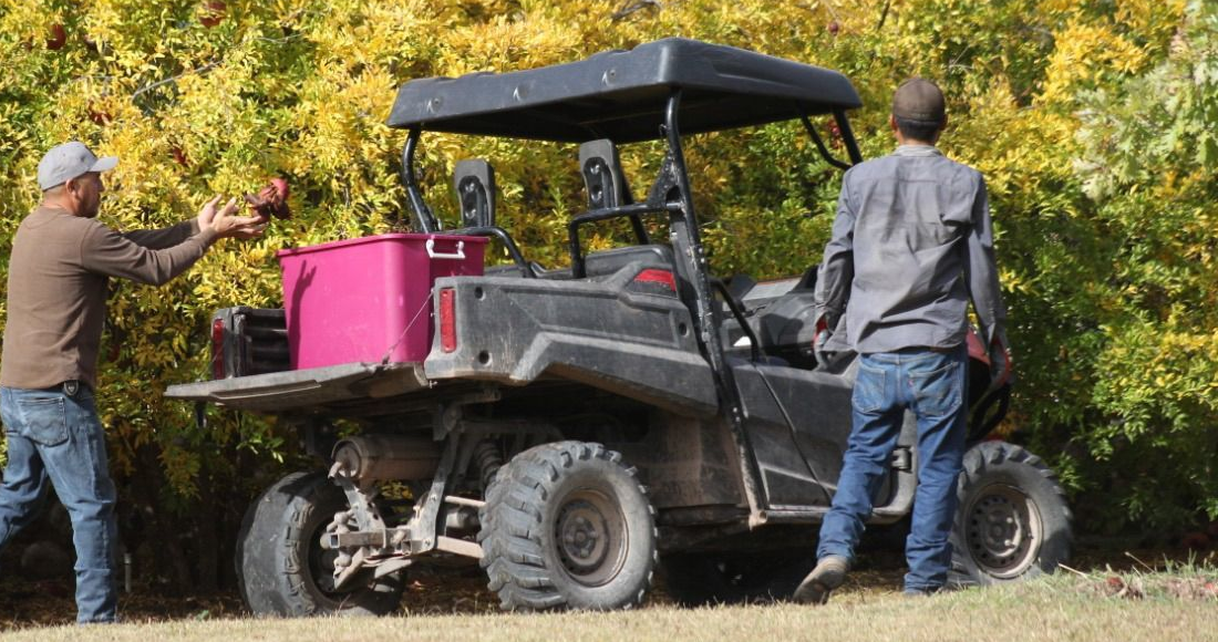 campo-campesinos-tractor