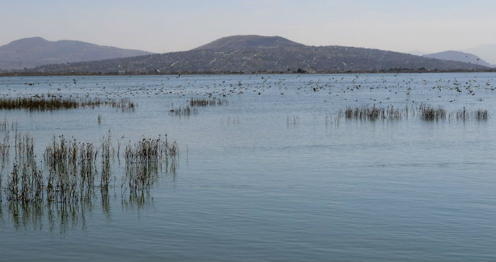 "Gran cantidad de personas y organizaciones han estado trabajando para asegurar una buena gestión del agua, por ejemplo, cambiando el marco legal demandando una nueva Ley General de Aguas que asegure el alto a la privatización, acaparamiento y contaminación del agua".