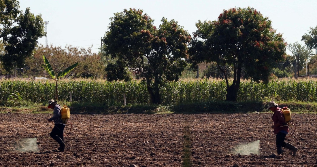 trabajadores-campo-ayala