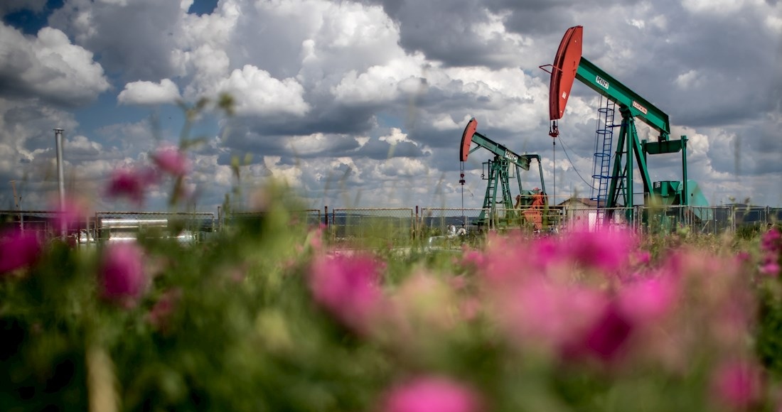 bombas-petrolera-campo-flores