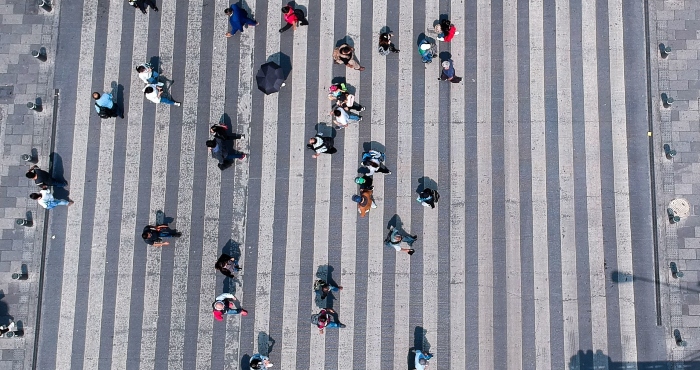 "El venenoso se remite a la resistencia de las élites económicas y algunos sectores más o menos clasemedieros a reconocer su situación de privilegio como resultado —al menos en buena medida—, de las condiciones económicas, sociales y raciales del país".