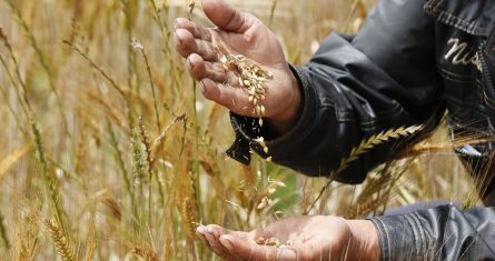 Lucha contra el cambio climático en la agricultura