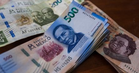 Aspectos de billetes de diferentes denominaciones.