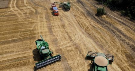 Agricultores con maquinaria cosechan un campo de trigo cerca del poblado de Tbilisskaya, Rusia, el 21 de julio de 2021.