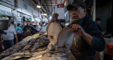 Vendedores de pescado ofrecen sus productos el 12 de abril de 2022, en el mercado de pescados y mariscos La Viga, en Ciudad de México (México).