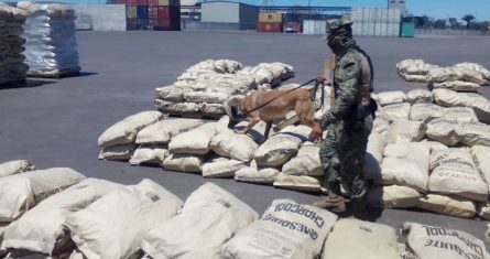 La Marina, en coordinación con Aduanas, Guardia Nacional y FGR, asegura más de 711 kilogramos de cocaína y metanfetamina en los puertos de Lázaro Cárdenas y Guaymas.