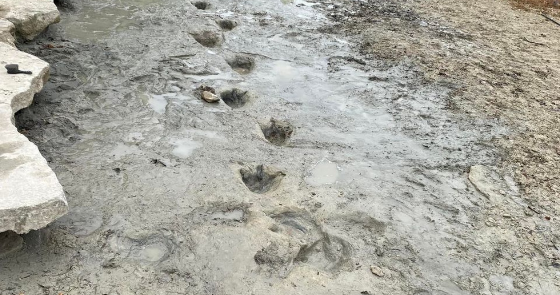 El Parque Estatal Dinosaur Valley En Texas Reveló El Hallazgo De Huellas De Dinosaurios De Hace Unos Millones De Años Luego De Las Severas Condiciones De Sequía Que Secaron Un Río